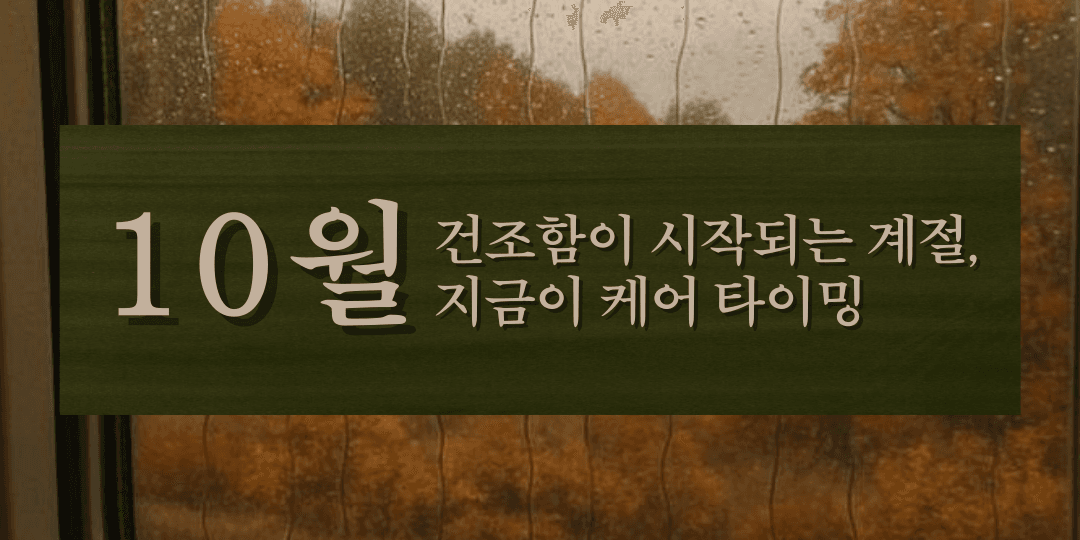 10월 깜짝 이벤트